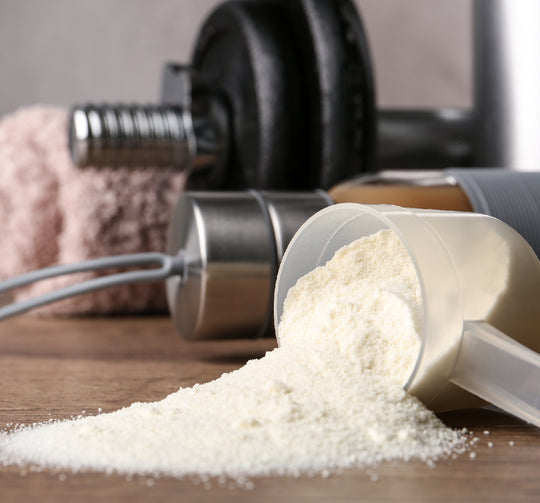 Patent Whey Mango by Dr. Priemer®