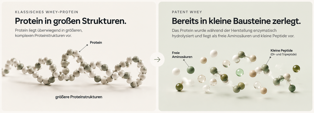 Vergleich der Proteinstrukturen von klassischem Whey und Patent Whey